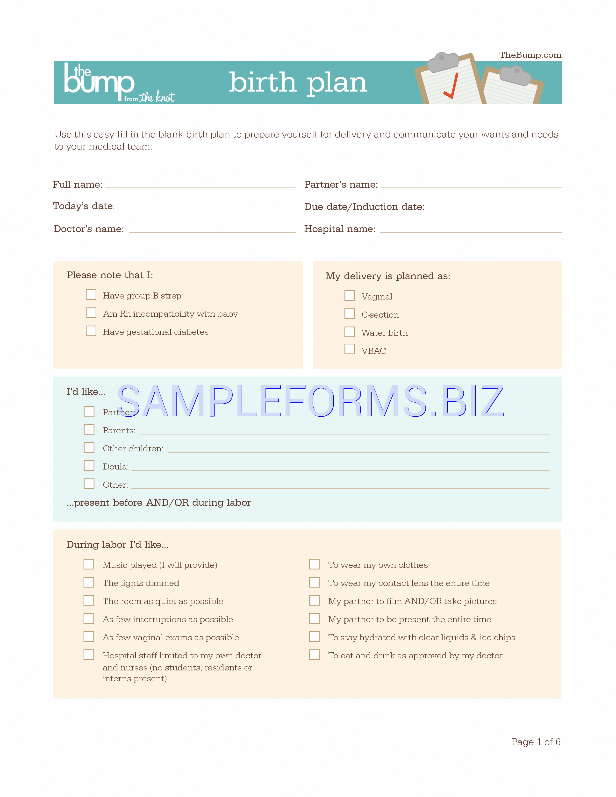 Preview free downloadable Birth Plan Template in PDF (page 1)